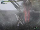 【MHF】へたれガンサーのHR30公式試験ソロ　エリア4　（3/5）