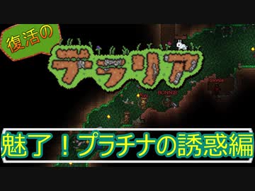 チートモードに気づいたショウジョウたち｜復活のテラリア- #2【Terraria / PC / steam】