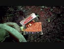 恐怖の沼に沈むｰCall of Cthulhuｰ#2