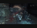 『Bloodborne』を56ミリも知らない俺が実況プレイ【EX】
