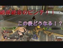 絶体絶命のピンチ！！その後の結末はいかに！？【APEX実況】