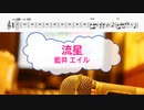 [オフボPRM] 流星 / 藍井エイル　(offvocal　歌詞：あり /　ガイドメロディーあり)