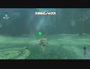 ゼルダの伝説ブレスオブザワイルド実況プレイ(DLC編)Part40
