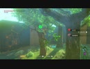 ゼルダの伝説ブレスオブザワイルド実況プレイ(DLC編)Part41