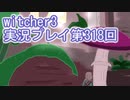 探し人を求めてwitcher3実況プレイ第318回