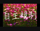 ぺぺまたはアルマジロ/mansho feat.IA
