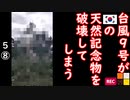 国が天然記念物に全く興味がないんだろう...　【江戸川 media lab HUB】お笑い･面白い･楽しい･真面目な海外時事知的エンタメ