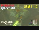 【寄り道ばかりの】ゼルダの伝説BotW【実況プレイ記録112】ゲルド山頂