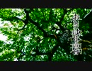 【Free】極彩色の木漏れ日【東方風自作曲/NNIオリジナル】