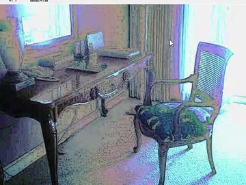 【実況】正体がわからない”私”と”ペット”【私とペットの観察記録】10ページ