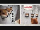 五毛党が二毛党に／吸血鬼中国