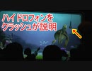 ハイドロフォンをクラッシュが説明 【タートルトーク】東京ディズニーシー