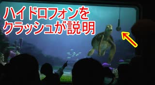 ハイドロフォンをクラッシュが説明 【タートルトーク】東京ディズニーシー