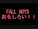 FALL GUYS 初心者あるある
