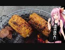 茜ちゃん七輪飲みpart2