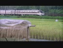 【のら】高山本線を走行するキハ85 その14