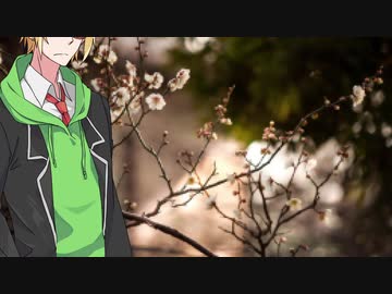 幽霊の 正体見たり 梅の花【ボイロ劇場】