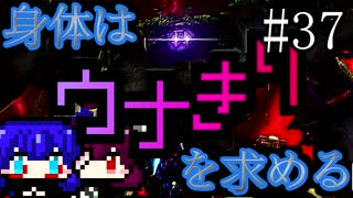 【DAEMON X MACHINA】身体はウナきりを求める#37【東北きりたん＆音街ウナ】