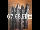 黒折り紙で千羽鶴を作っていく　67.68日目