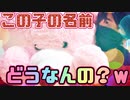【名前ガチャ】ランダム生成でぬいぐるみの名前を決めたら予想外すぎたｗ【YouTube病】