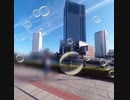 横浜汽車道昼と夜
