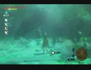 ゼルダの伝説ブレスオブザワイルド実況プレイ(DLC編)Part46