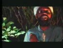 【REGGAE】beres hammond-rock away【レゲエ】