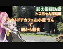 【彩の国探訪録：トコちゃん探訪編】Part9.平地の山小屋に行ってみた。【琴葉 茜車載】