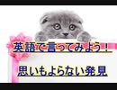 英語で言ってみよう！思いがけない発見とは！？