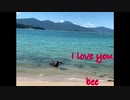 I love you【bee@童謡系歌い手】が歌ってみた