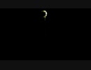 真夜中の微笑み　うたってみた【こーいち】