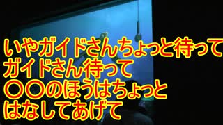 いやガイドさんちょっとまって、○○のほうははなしてあげて 【タートルトーク】東京ディズニーシー