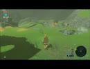 【ゼルダの伝説BotW】約束された宿命　覚悟なき放浪者　♯10【マスターモード実況】
