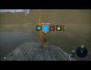 【ゼルダの伝説BotW】約束された宿命　覚悟なき放浪者　♯11【マスターモード実況】