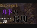 ブリガンダイン ルーナジア戦記 実況したいん Part30【Brigandine The Legend of Runersia】