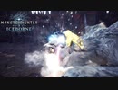 【MHWIB】新クエスト“老士の高踏”に挑んだらただの装備紹介動画となってしまった。【モンスターハンターワールドアイスボーン】