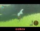 【ゼルダの伝説BotW】約束された宿命　覚悟なき放浪者　♯13【マスターモード実況】