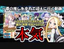 【FGO】出るまで引くと決めた水着アビーに挑戦した結果が凄まじいものだった【実況】