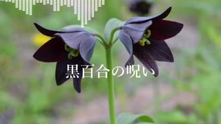 【AIきりたんオリジナル曲】黒百合の呪い