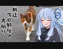 葵ちゃんと野球場へ行こう！　～北関東野球場巡り！山梨・群馬編～
