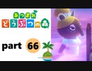 【あつまれどうぶつの森】無人島の覇者【実況】part66