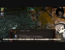 【Divinity :Original Sin 2】でびにてぃ２タカハシ二人旅【タカハシ実況プレイ】 part02