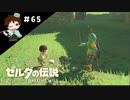 【実況】マスターモードでやりこみサバイバル生活！！　Part65　【ゼルダの伝説　BotW】