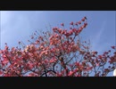 水音ラル - まいったな