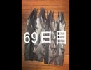 黒折り紙で千羽鶴を作っていく　69日目