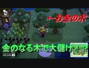 あつまれどうぶつの森　カブ以外のお金稼ぎ。金のなる木で大儲け！？金のなる木作り方編！　【あつ森】【Animal Crossing】