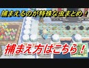 あつまれどうぶつの森　捕まえるのが特殊な虫まとめ！時期は？場所は？時間帯は？捕まえ方紹介！　【あつ森】