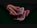 257 クラウス ブレイク ストップ フォース