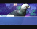 【実況】人間はあきらめて鳥類と恋愛する！【はーとふる彼氏-Hatoful Boyfriend-】＃10