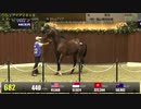 【2020北海道サマーセール】2日目 上場番号651～700